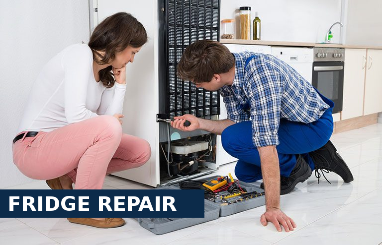 Fridge Repair Purley